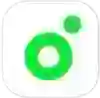 Melon