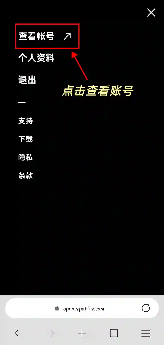 Spotify 查询会员地区/到期时间 6